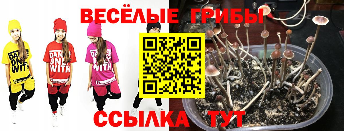 Псилоцибиновые грибы мухоморы Воткинск