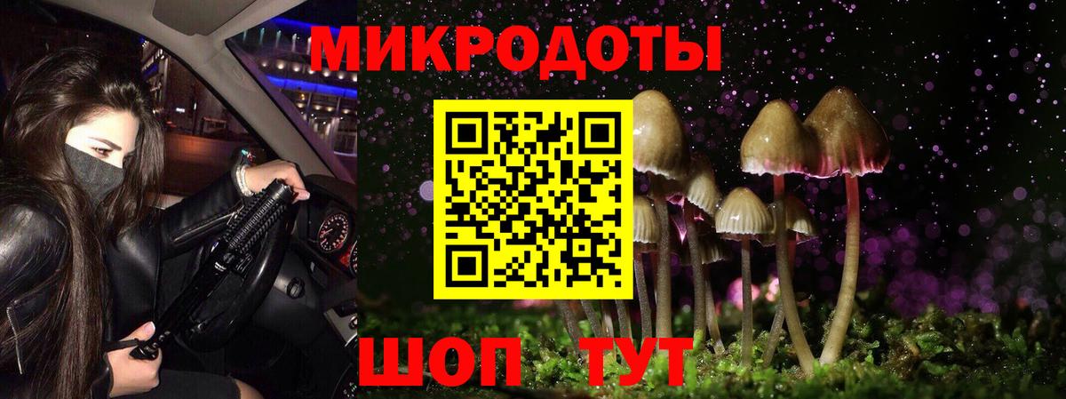 Псилоцибиновые грибы Cubensis  Вход с VPN  Воткинск  цены   Галлюциногенные грибы прущие грибы 